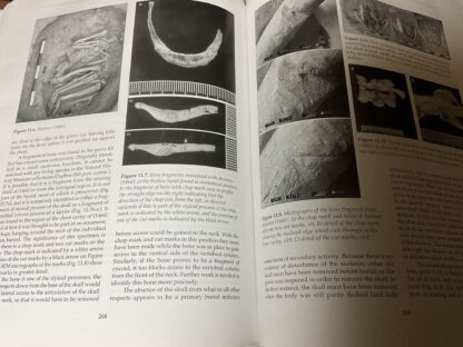 Inhabiting Catalhoyuk: Reports From the 1995-99 Seasons - Image 2
