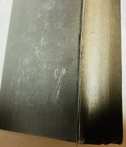 Leavenworth Case, The - Image 3