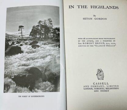 In the Highlands - Image 3