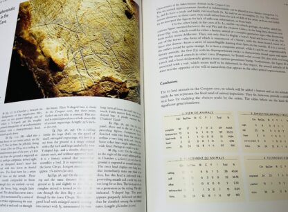 The Cave Beneath the Sea: Paleolithic Images at Cosquer - Image 2