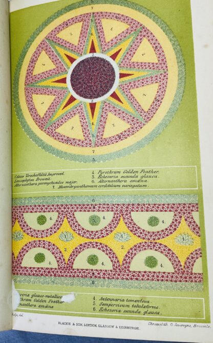 The Gardeners Assistant: Practical and Scientific, Revised and Enlarged Edition - Image 3