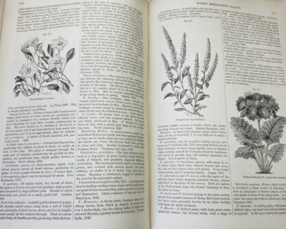 The Gardeners Assistant: Practical and Scientific, Revised and Enlarged Edition - Image 5