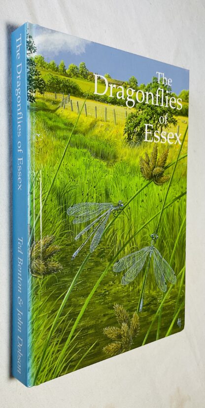The Dragonflies of Essex