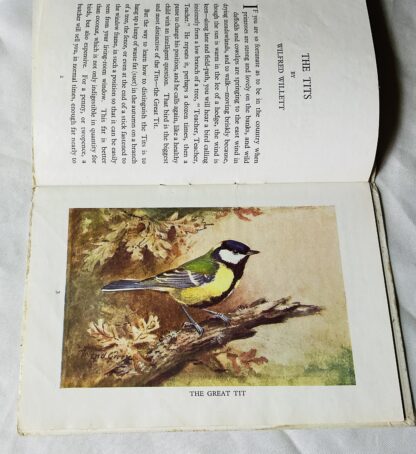 The Titmice: British Birds Series No.2 - Image 3