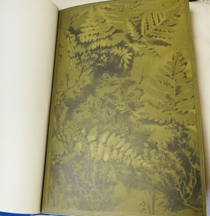 Natural History and Sport in Moray: Collected from the Journals and Letters of the Late Charles St. John - Image 2