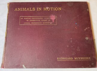 Animals in Motion: An Electro-Photographic Investigation of Consecutive Phases of Muscular Actions