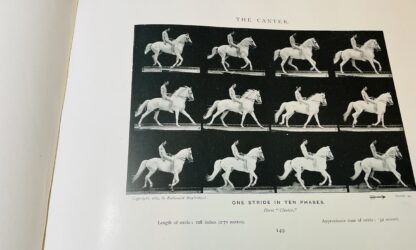 Animals in Motion: An Electro-Photographic Investigation of Consecutive Phases of Muscular Actions - Image 3