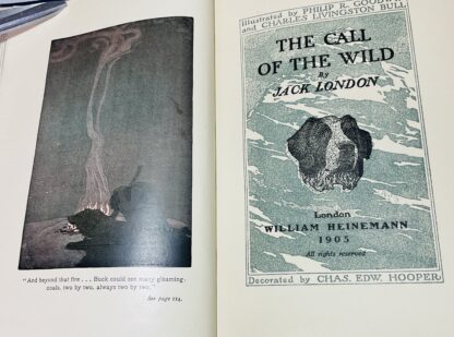 The Call of The Wild - Image 2