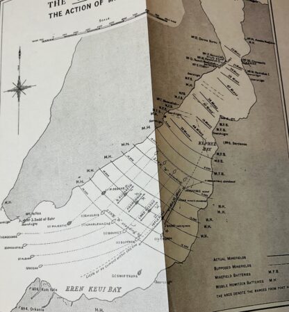 The Fight For Gallipoli - Image 3
