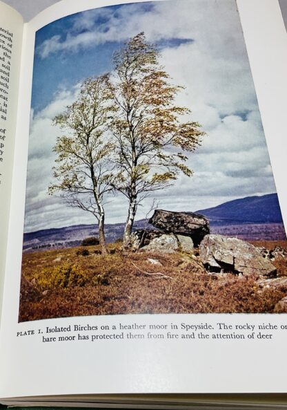 The Highlands and Islands - Image 2