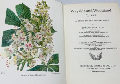 Wayside and Woodland Trees; a Guide to the British Sylva - Image 2