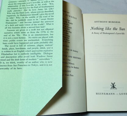 Nothing Like The Sun: A Story of Shakespeare's Love-life - Image 2