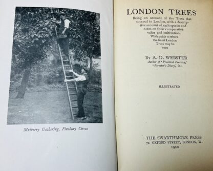 London Trees. Being An Account Of The Trees That Succeed In London, With A Descriptive Account Of Each Species And Notes On Their Comparative Value: To Where The Finest London Trees May Be Seen - Image 4