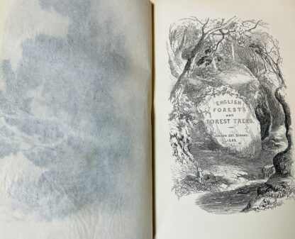 English Forests and Forest Trees, Historical Legendary And Descriptive - Image 5