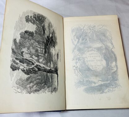 English Forests and Forest Trees, Historical Legendary And Descriptive - Image 4