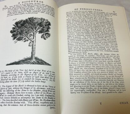 Sylva: Or a Discourse of Forest-trees and the Propogation of Timber in His Majesties Dominions [together with] Pomona, or an Appendix Concerning Fruit-Trees in Relation to Cider. 1664. [ Facsimile edition] - Image 3