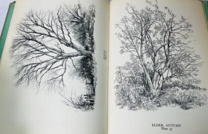 A Book of Trees - Image 3