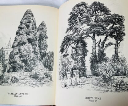 A Book of Trees - Image 4
