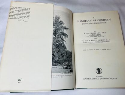 A Handbook of Coniferae and Ginkgoaceae - Image 2