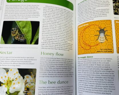 The Bee Manual: The Complete Step-by-Step Guide to Keeping Bees - Image 3