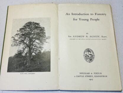 An Introduction to Forestry for Young People - Image 2