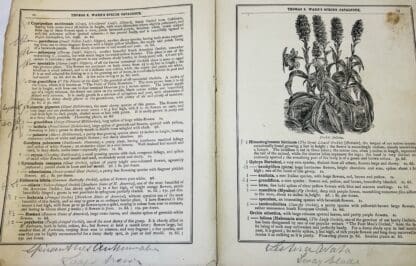 Thomas S. Ware's Spring Catalogue [plants] - Image 3