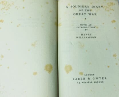 A Soldier's Diary of the Great War - Image 2