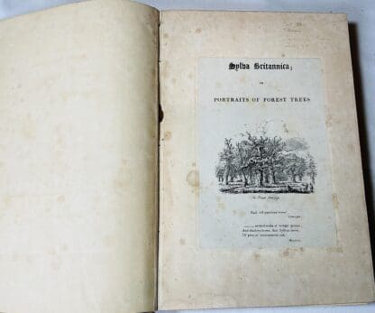 Sylva Britannica: Or, Portraits of Forest Trees, Distinguished for Their Antiquity, Magnitude, or Beauty - Image 2