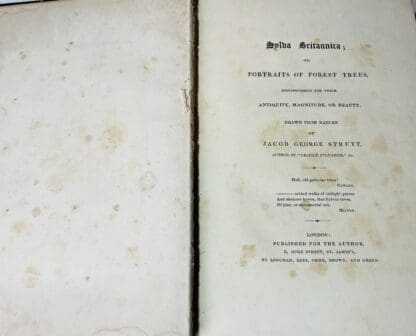 Sylva Britannica: Or, Portraits of Forest Trees, Distinguished for Their Antiquity, Magnitude, or Beauty - Image 3