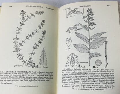 Further Illustrations of British Plants - Image 3