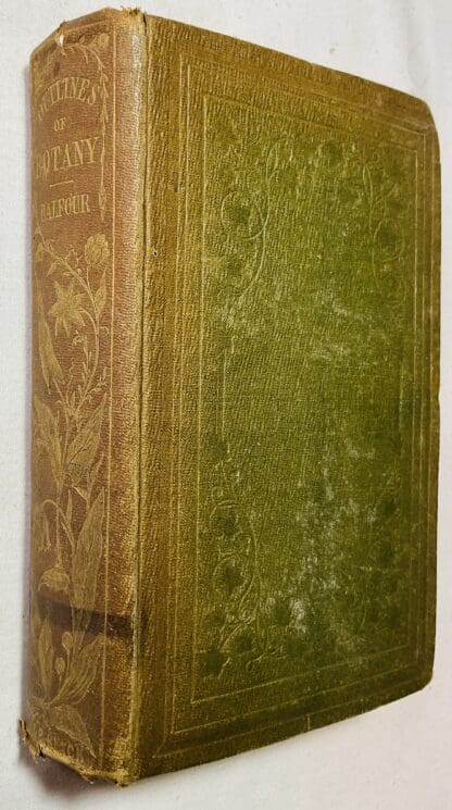 Outlines of Botany: Being an introduction to the study of the structure, functions, classification and distribution of plants