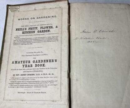 Outlines of Botany: Being an introduction to the study of the structure, functions, classification and distribution of plants - Image 2