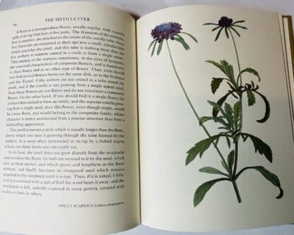 Botany - Image 3