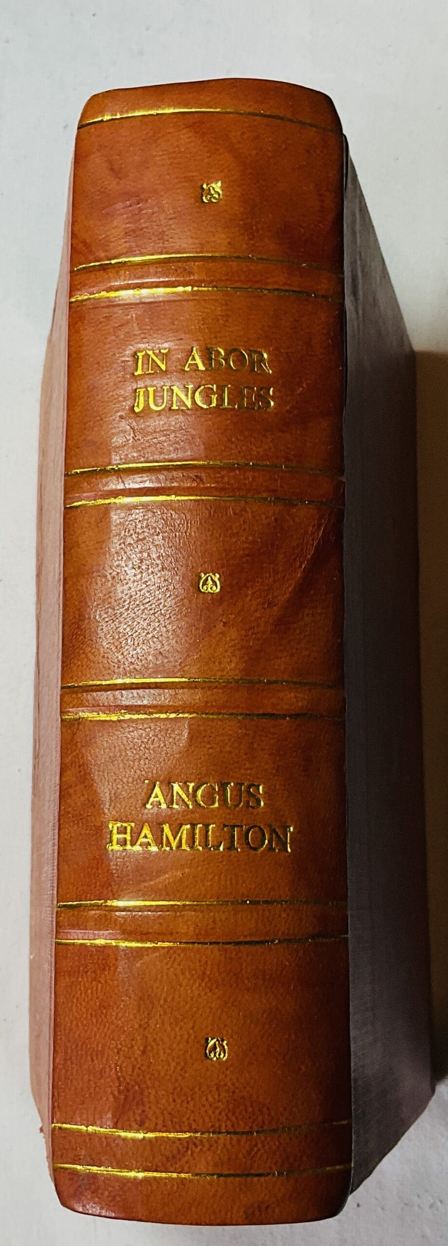 In Abor Jungles: Abor Expediation, The Mishmi Mission And The Mir