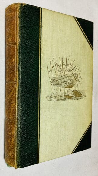 Snipe and Woodcock [Fur, Feather and Fin series]