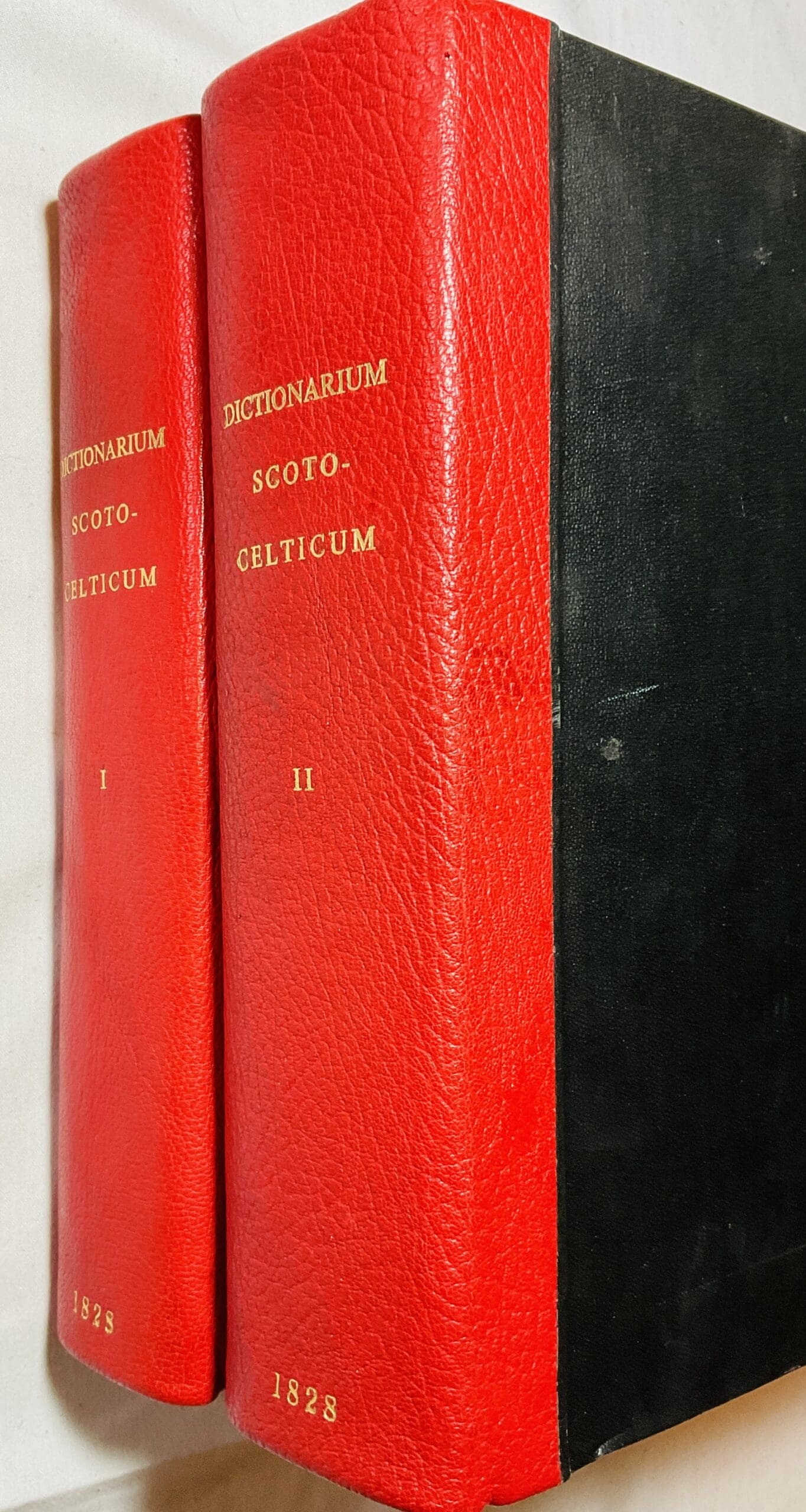 Dictionarium Scoto-Celticum: A Dictionary of the Gaelic Language; Comprising an Ample Vocabulary of Gaelic Words As Preserved in Vernacular Speech, In Two Volumes, Compiled and Published under the Direction of the Highland Society of Scotland