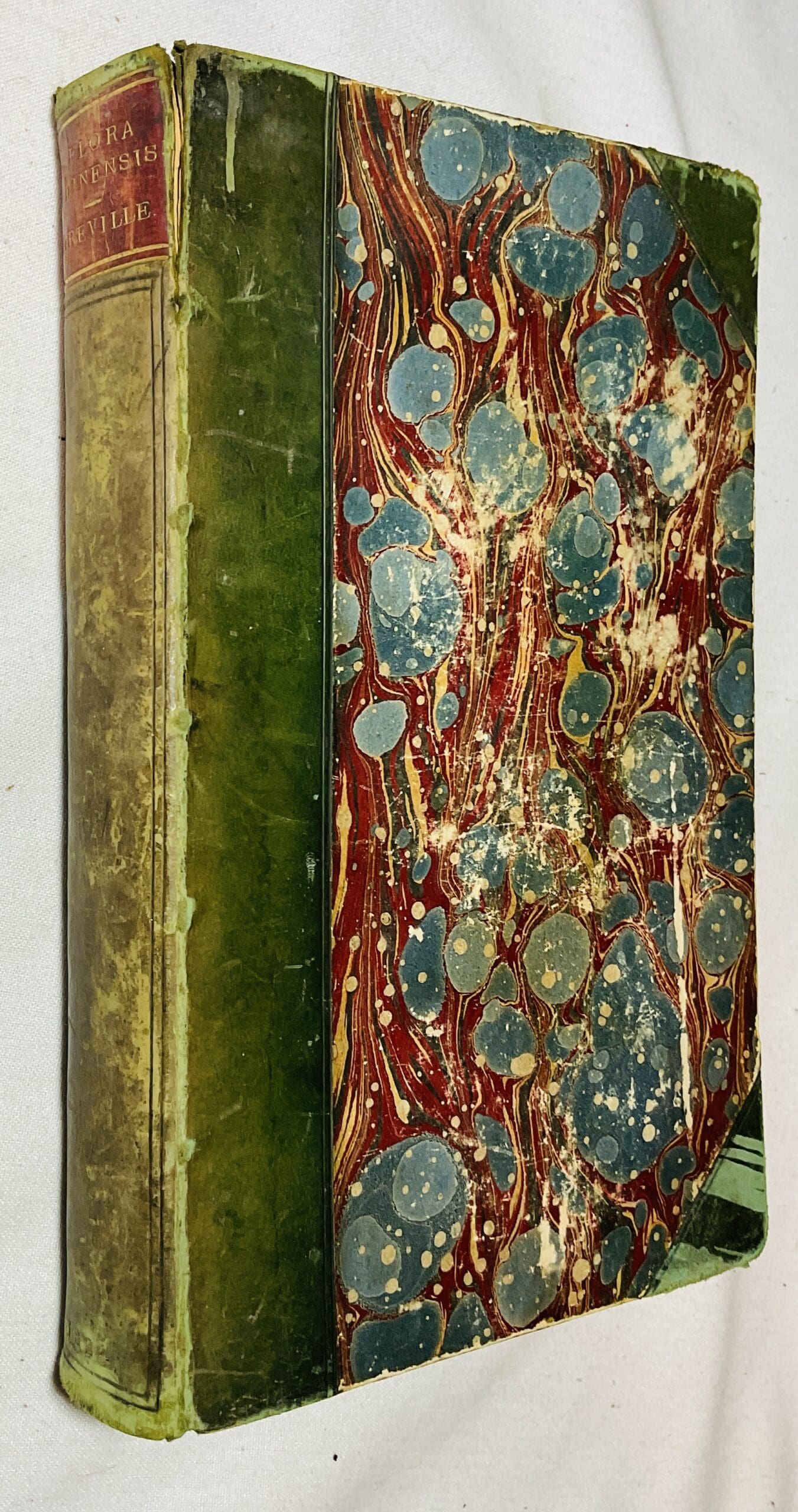 Flora Edinensis: or, A Description of Plants Growing Near Edinburgh, Arranged According to the Linnean System with A Concise Introduction to the Natural Orders of the Class Cryptogamia