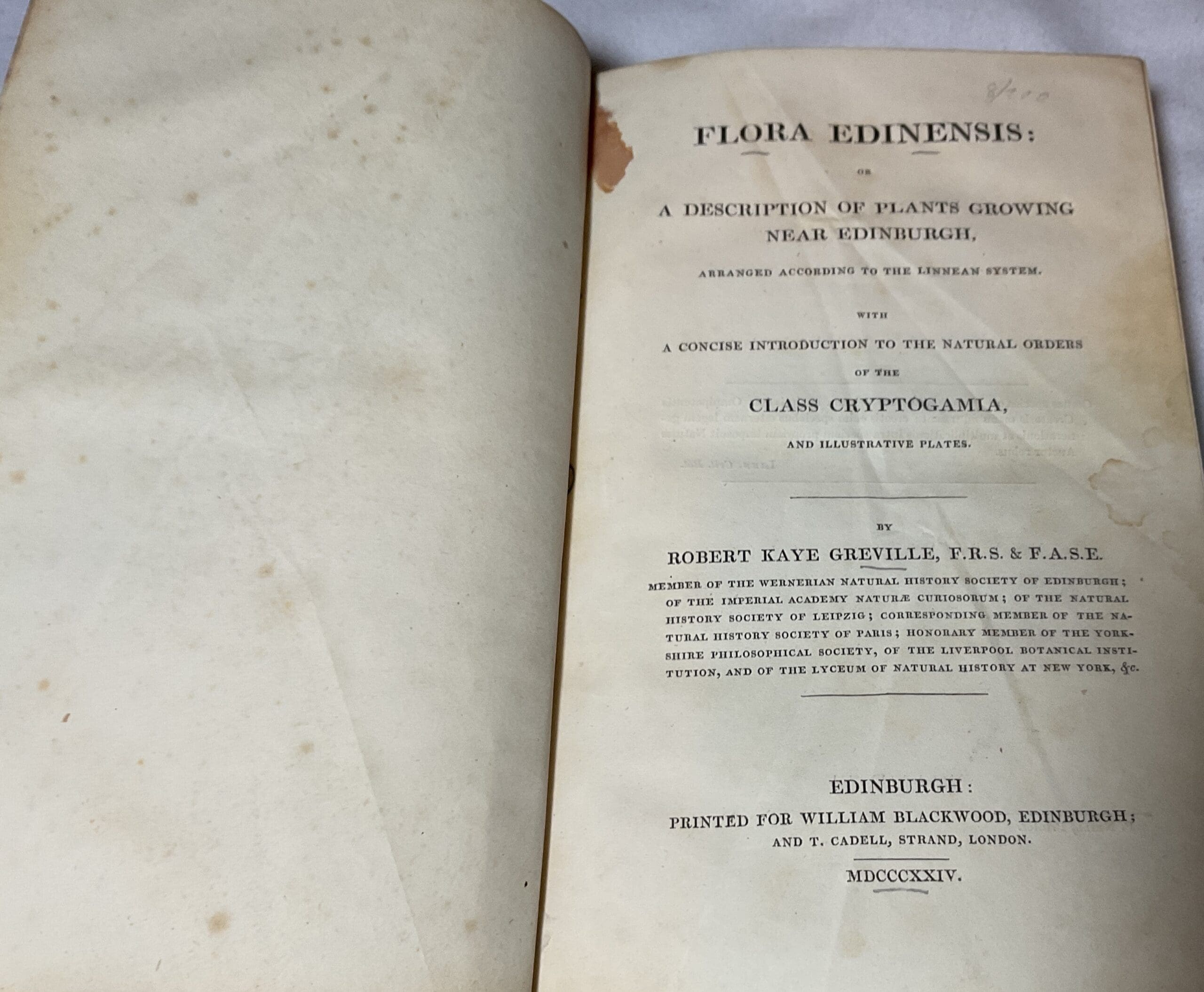 Flora Edinensis: or, A Description of Plants Growing Near Edinburgh, Arranged According to the Linnean System with A Concise Introduction to the Natural Orders of the Class Cryptogamia - Image 3