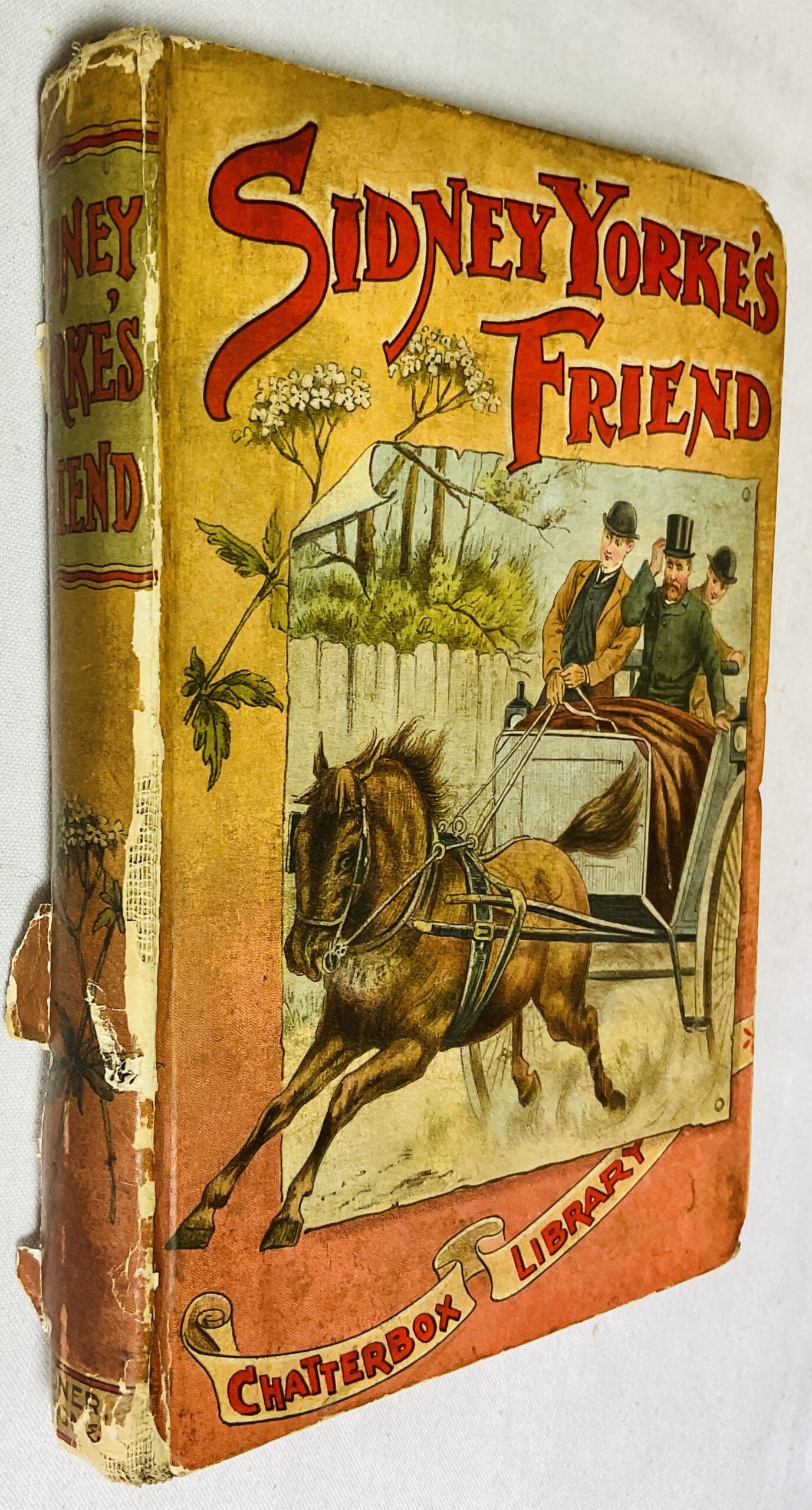 Sidney Yorke's Friend