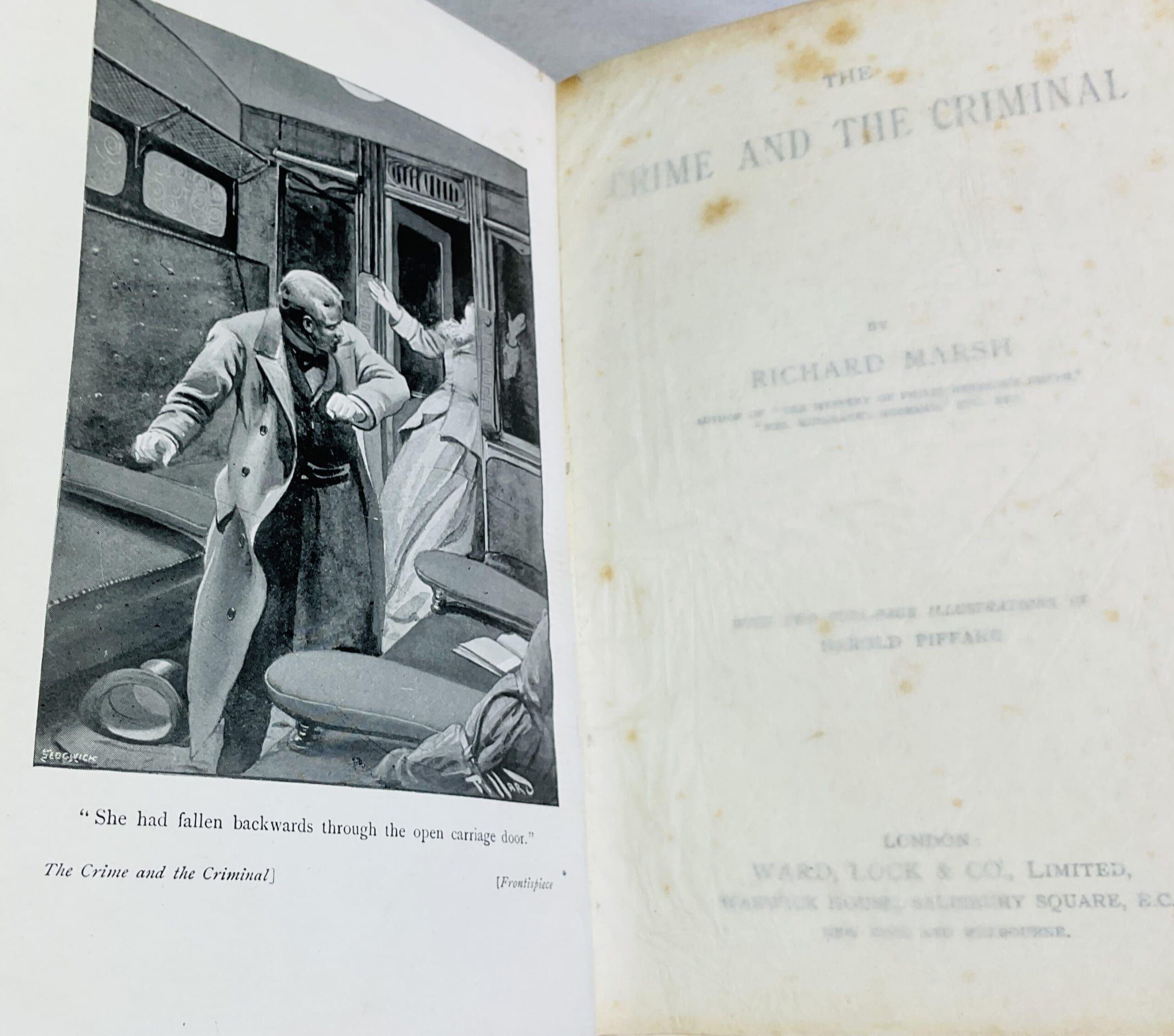 The Crime and the Criminal - Image 3