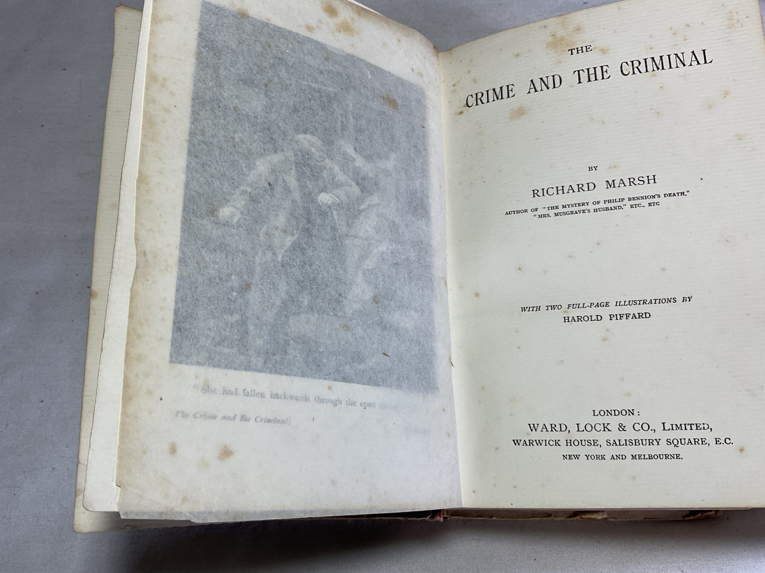 The Crime and the Criminal - Image 4