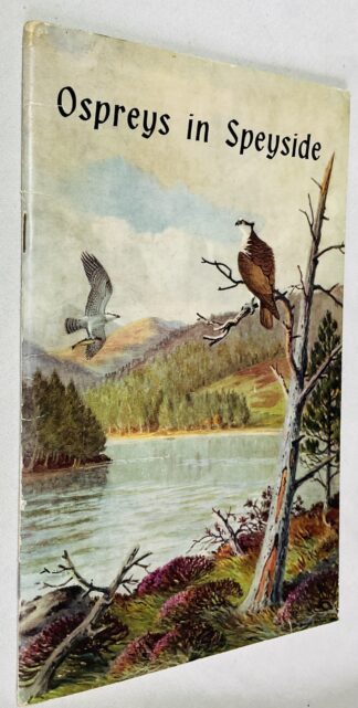 Ospreys in Speyside